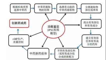 当干细胞技术遇上中药现代化 融合创新的技术开发新路径