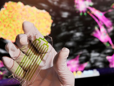 基于粘附力的新型干细胞分离技术 精准、高效的技术开发新路径