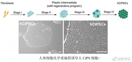 我国科学家领衔攻克干细胞制备技术壁垒，开启再生医学新篇章